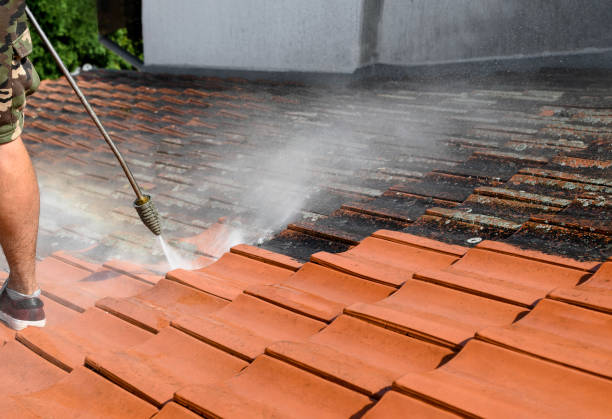 Best Exterior Home Cleaning  in Rowland, NC